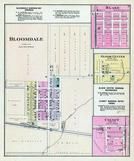 Bloomdale, Blake, bollom Center, Cygnet, Wood County 1886
